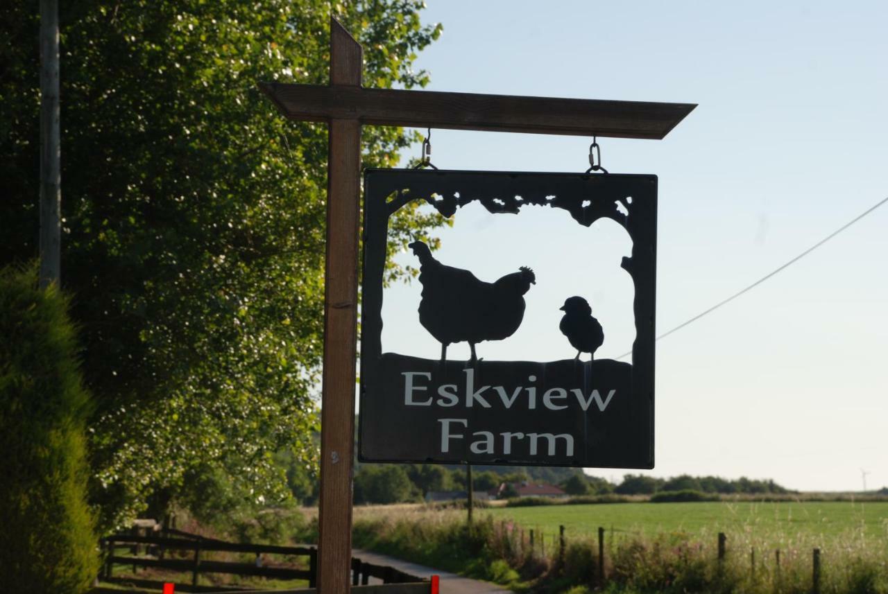 Eskview Farm Panzió Montrose Kültér fotó